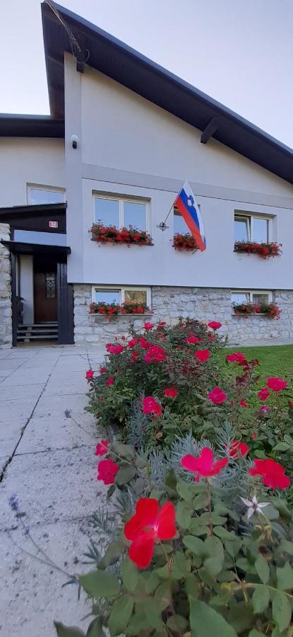Apartmaji Mojca Krize Exterior photo